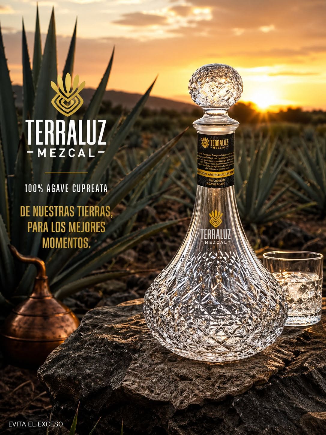 Terraluz Blanco Cupreata en campo de agave al atardecer